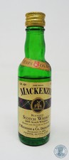 Miniature mignon scotch usato  Romano di Lombardia