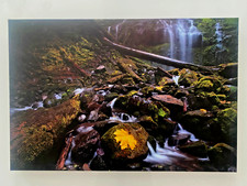 Landscape original thick for sale  San Francisco