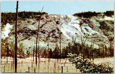 Roaring mountain yellowstone for sale  Belleville