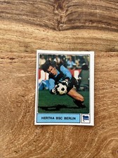 Hertha bsc berlin gebraucht kaufen  Abstatt