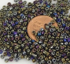 Japanese round seed for sale  Marlborough