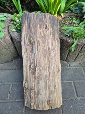 Riesige schale höhle gebraucht kaufen  Werneuchen