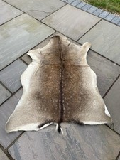 Deer hide rug for sale  EASTLEIGH