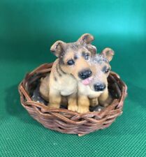 Alsatian puppies small for sale  WISBECH