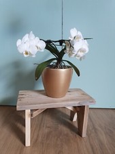 Sgabello panchetta legno usato  Ostuni