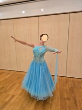 Standardkleid tanzen turnier gebraucht kaufen  Calberlah