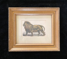 Lion framed antique for sale  Smyrna