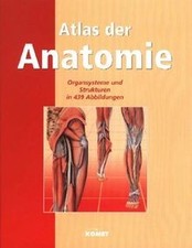 Atlas anatomie anschauliche gebraucht kaufen  Berlin