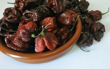 Carolina reaper chocolat d'occasion  Expédié en France