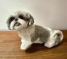 Shih tzu lhasa for sale  Highland Mills
