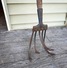 Antique norcross tine for sale  Rockford