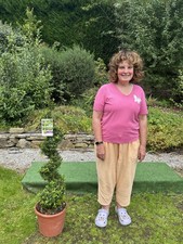 Box topiary spiral for sale  MACCLESFIELD