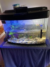 Litre fish tank for sale  THORNTON HEATH