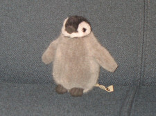Kösen pinguin küken gebraucht kaufen  Essen