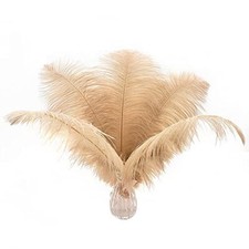Ballinger champagne ostrich for sale  USA