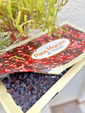 Raisin sec moscatel d'occasion  Expédié en France