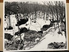 86th infantry regiment usato  Pavullo nel Frignano