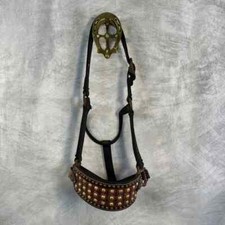Teskey black horse for sale  Ocala