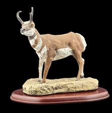 pronghorn for sale pronghorn for sale Breinigsville