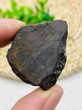 Natural nwa chondrite usato  Napoli