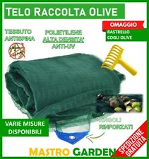 Rete telo raccolta usato  Avellino