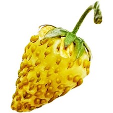 Pineapple crush white d'occasion  Expédié en Belgium