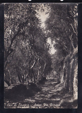Cartolina cavi lavagna usato  Italia