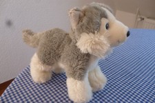 Husky welpe 20cm gebraucht kaufen  Bad Münder