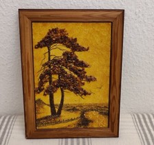 Bild bernstein baum gebraucht kaufen  Heidelberg
