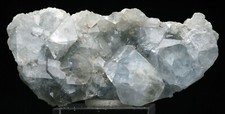 Celestine celestite crystal for sale  Tucson