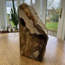 Large petrified fossilised for sale  DOVER