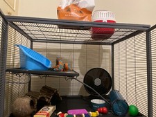 Midwest critter nation for sale  READING