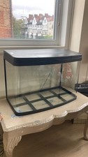 Stunning aquarium fish for sale  BOURNEMOUTH