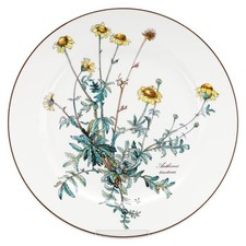 Speiseteller anthemis tinctori gebraucht kaufen  Kappeln