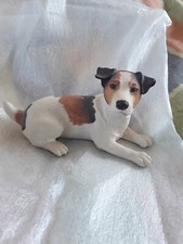 Jack russell dog for sale  EXMOUTH
