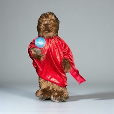 Disney parks star for sale  Pomona