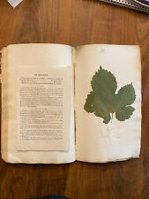 Remarkable 1833 herbarium d'occasion  Expédié en Belgium