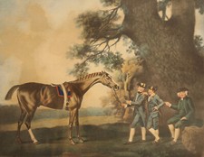 Eclipse c19th equestrian for sale  PENRYN