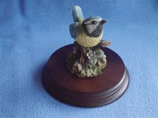 Blue tit. leonardo for sale Blue tit. leonardo for sale  PORTSTEWART