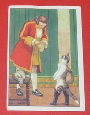1954 chromo tintin d'occasion  Expédié en Belgium