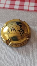 Capsule champagne degenne d'occasion  Saint-Michel-sur-Meurthe