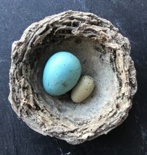 Cement bird nest for sale  Sharpsburg