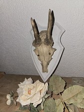 Hirschgeweih deko gebraucht kaufen  Neunkirchen