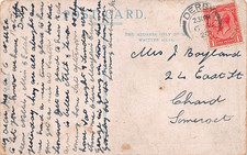 Family history postcard for sale  PETERBOROUGH
