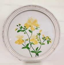 Decorative yellow dandelion for sale  Medford