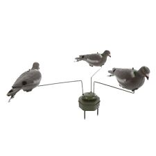 Triple play pigeon for sale  BOLTON