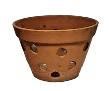 Terracotta orchid pot for sale  Webster