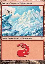 Mtg snow covered for sale  Rochester