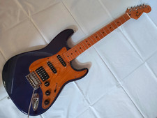 Rig fender stratocaster gebraucht kaufen  Frankfurt am Main