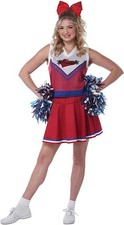New got spirit for sale  Orange Park
